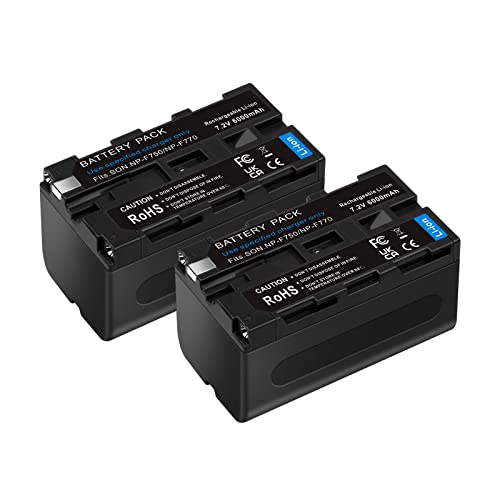 CITYORK 2X 6000mAh Ersatzakku für Sony NP-F750, NP-F730, NP-F760, NP-F770 Akku und Sony CCD-TRV215 CCD-TR917 HDR-FX1000 HVR-V1U HVR-Z7U HVR-Z5U Camcorder von CITYORK