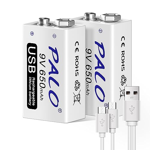 CITYORK 2er Pack 9V USB Akku 650mAh Li-Ion mit 2 in 1 USB Kabel für Keyboard Mikrofon Rauchmelder von CITYORK