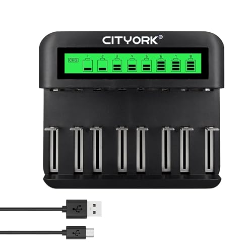 CITYORK Akku Ladegerät für AA AAA C D NI-MH/NI-Cd Akku mit Micro-USB & Type C Input -schnelle Aufladung, automatische Erkennung, Überladeschutzfunktion (Aussehen kann variieren) von CITYORK