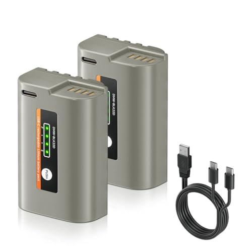 CITYORK DMW-BLK22D USB-C Ersatz Akku 2500mAh (2er Pack) für Panasonic Lumix DC-S5 DC-G9 DC-GH5 DC-GH5 II DC-GH5S DC-GH6 von CITYORK
