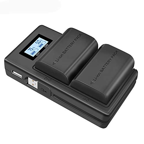 CITYORK LP-E6 LP-E6N Ersatzakku (2000 mAh) und Schnellladegerät für Canon EOS 5D Mark II/III/IV, 5DS, 5DS R, 6D, 7D, 7D Mark II, 60D, 60Da, 70D, 80D, XC10, Schwarz, 2 Stück von CITYORK