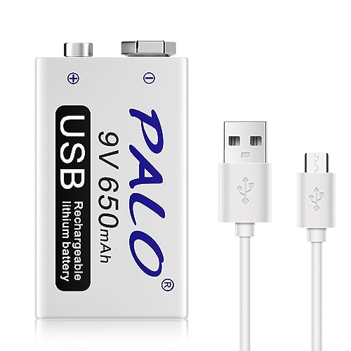 CITYORK USB 9V 650mAh Lithium-Ionen-Akku mit USB-Kabel für Tastatur, Mikrofon, Rauchmelder, elektrische Spiele, Walkie-Talkies -1-Pack USB-Akku und 1 Kabel von CITYORK