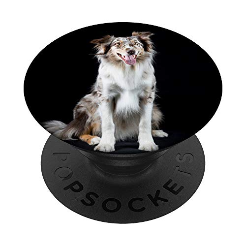 Australian Shepherd - PopSockets Ausziehbarer Sockel und Griff für Smartphones und Tablets von CJ Grips