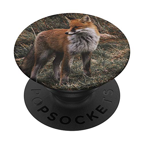 Fuchs - Fox PopSockets PopGrip: Ausziehbarer Sockel und Griff für Handys/Tablets mit Tauschbarem Top von CJ Grips