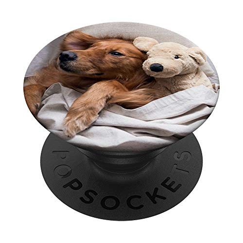 Golden Retriever schläft im Bett PopSockets mit austauschbarem PopGrip von CJ Grips