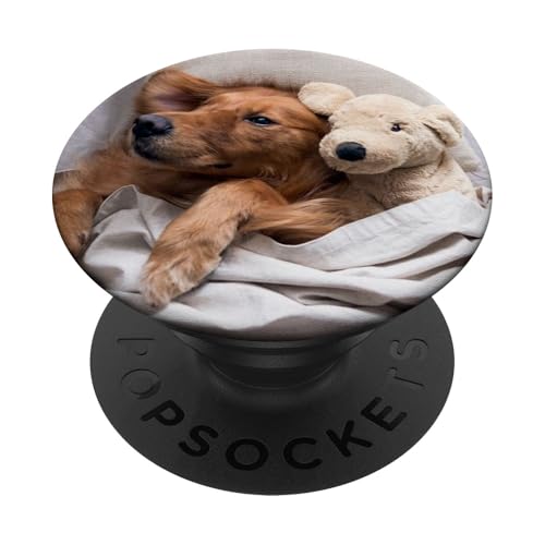 Golden Retriever schläft im Bett PopSockets mit austauschbarem PopGrip von CJ Grips