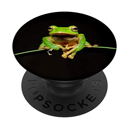 Grüner Frosch PopSockets PopGrip: Ausziehbarer Sockel und Griff für Handys/Tablets mit Tauschbarem Top von CJ Grips