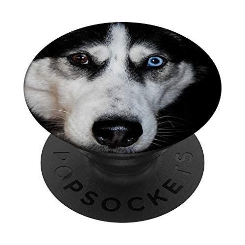 Husky - PopSockets Ausziehbarer Sockel und Griff für Smartphones und Tablets von CJ Grips