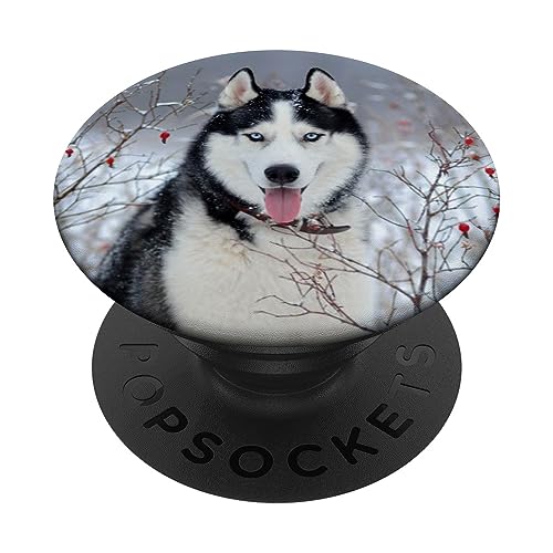 Husky PopSockets mit austauschbarem PopGrip von CJ Grips