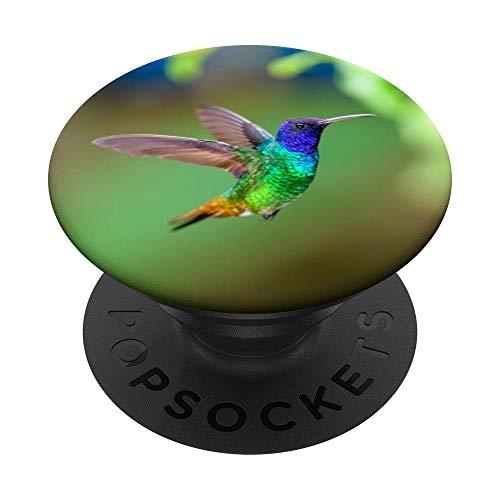 Kolibri PopSockets PopGrip: Ausziehbarer Sockel und Griff für Handys/Tablets mit Tauschbarem Top von CJ Grips
