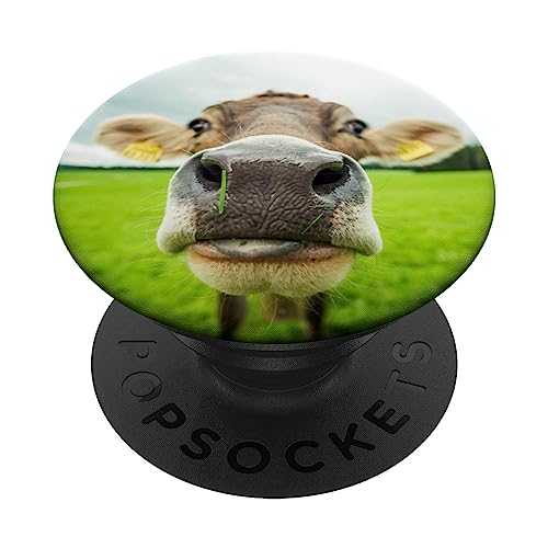 Kuh Nahaufnahme PopSockets mit austauschbarem PopGrip von CJ Grips