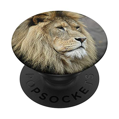 Löwe PopSockets mit austauschbarem PopGrip von CJ Grips