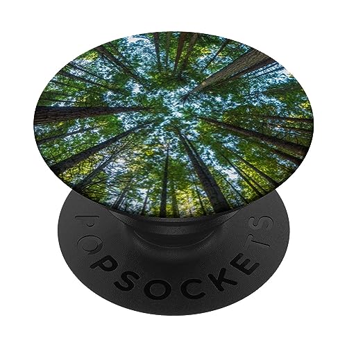 Redwood Mammutbaum PopSockets mit austauschbarem PopGrip von CJ Grips