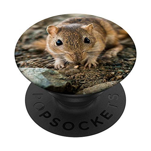 Rennmaus Maus - PopSockets Ausziehbarer Sockel und Griff für Smartphones und Tablets von CJ Grips