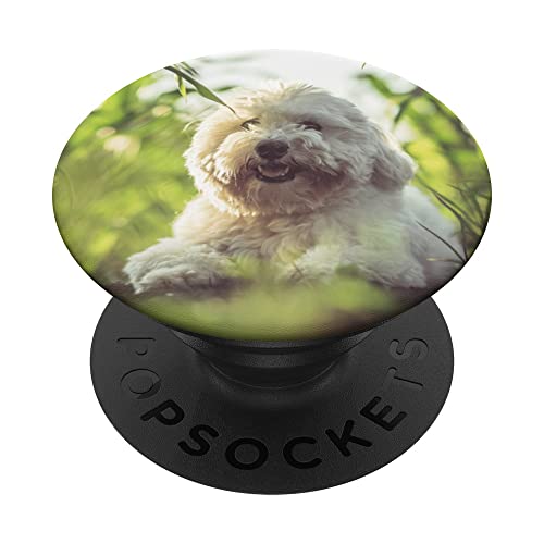 Coton De Tulear Hundeliebhaber PopSockets mit austauschbarem PopGrip von CJ Merch