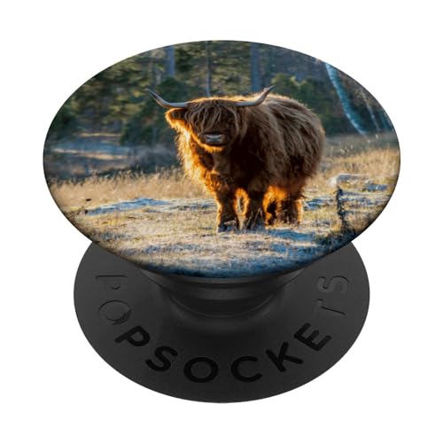 Hochlandrinder PopSockets mit austauschbarem PopGrip von CJ Merch