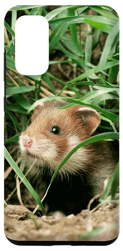 Hülle für Galaxy S20 Hamster von CJ Merch