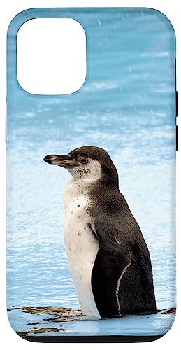 Hülle für iPhone 13 Humboldt Pinguin Hülle für iPhone 13 Humboldt Pinguin von CJ Merch