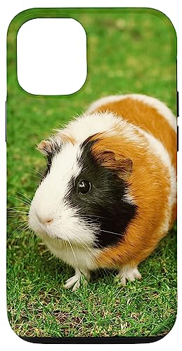 Hülle für iPhone 13 Meerschweinchen Hülle für iPhone 13 Meerschweinchen von CJ Merch
