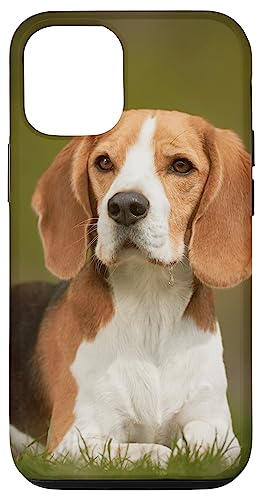 Hülle für iPhone 14 Beagle Hundeliebhaber von CJ Merch