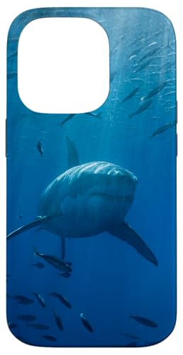 Hülle für iPhone 14 Pro Weißer Hai Hülle für iPhone 14 Pro Weißer Hai von CJ Merch