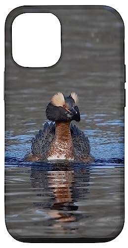 Hülle für iPhone 15 Gehörnter Haubentaucher Hülle für iPhone 15 Gehörnter Haubentaucher von CJ Merch