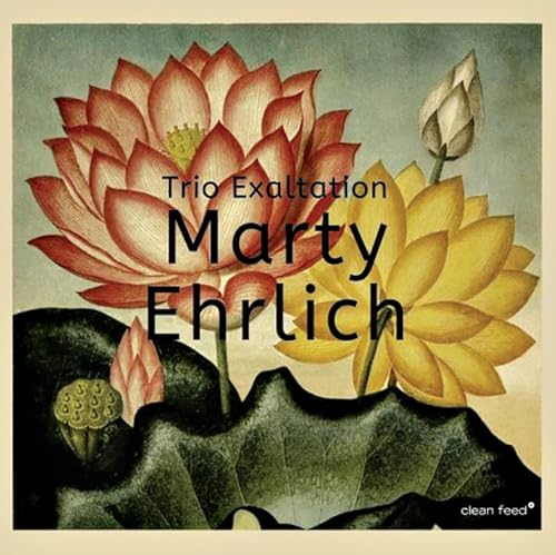 Trio Exaltation Trio Exaltation von CLEAN FEED
