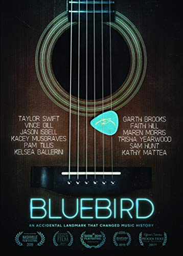 Bluebird: An Accidental Landmark That Changed History (DVD) von Cleopatra