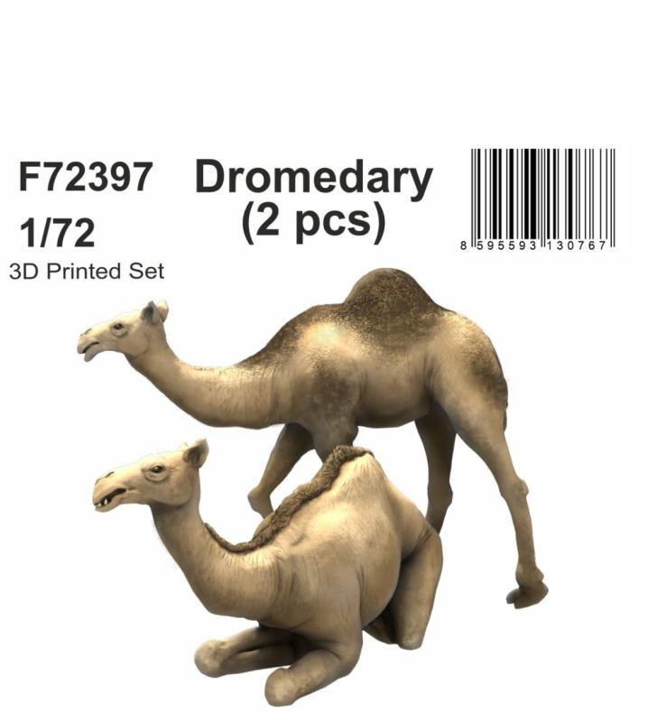 Dromedary (2 pcs) von CMK
