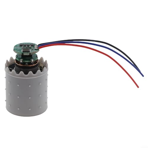 CNANRNANC Elektromotor Mini-Bürstenloser Motor DC12V 12A 100000 U/min Aluminiumlegierung für Impeller-Kanalventilator von CNANRNANC