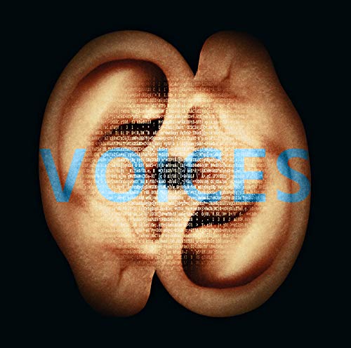 Voices [Vinyl LP] von CNI