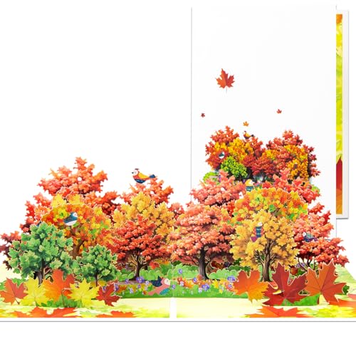CNLITIHEKA Maples Pop Up Karte, Papierblumen-Grußkarten, exquisites Geschenk für Muttertag, Geburtstag, Jahrestag, Naturliebhaber, Genesung, inklusive Umschlag CNLITIHEKA Maples Pop Up Karte, Papierblumen-Grußkarten, exquisites Geschenk für Muttertag, Geburtstag, Jahrestag, Naturliebhaber, Genesung, inklusive Umschlag von CNLITIHEKA