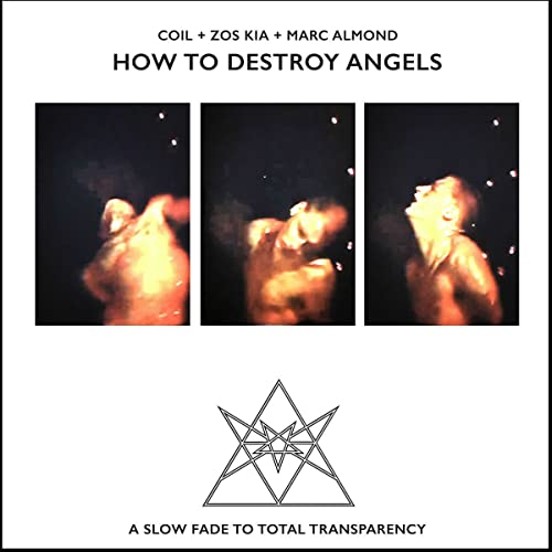 How to Destroy Angels [Vinyl LP] von COLD SPRING