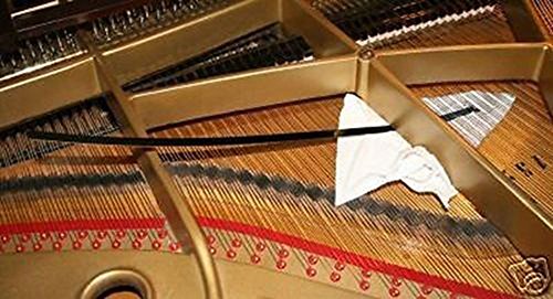 Grand Piano Resonanzboden Reiniger, Keep Piano reinigen Grand Piano Resonanzboden Reiniger, Keep Piano reinigen von COLIBYOU