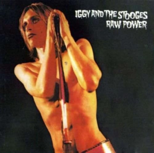 Raw Power [Vinyl LP] von Sony Music Cmg