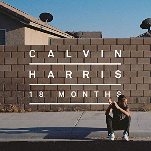 18 Months [Vinyl LP] von COLUMBIA