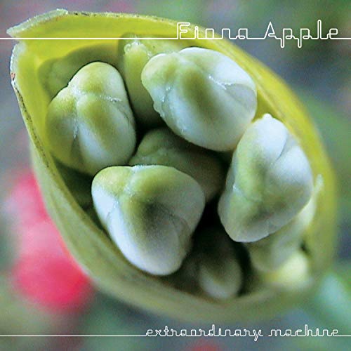 Extraordinary Machine Extraordinary Machine von COLUMBIA