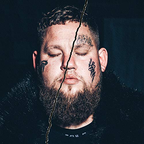 Life By Misadventure (180g Black Vinyl) [Vinyl LP] von BEST LAID PLANS/COLU