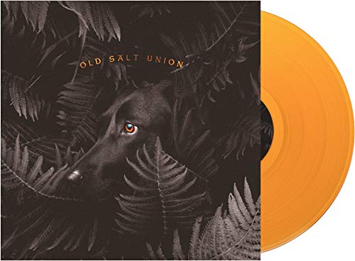 Where the Dogs Don'T Bite [Vinyl LP] von Compass Records