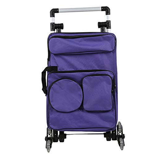 CONGRUI Tragbarer faltbarer Kunstwagen, Skizzenblock, Staffelei, Skizzen-Set, Paket, faltbarer Werkzeugwagen, 45 x 100 x 135 cm (lila) von CONGRUI