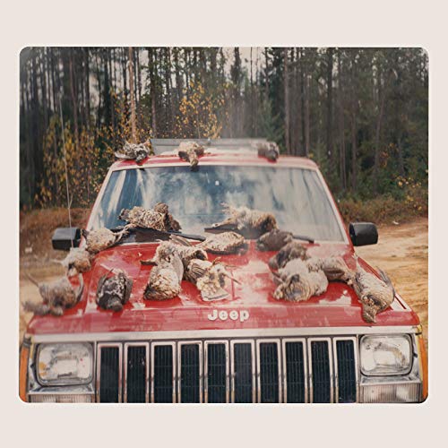 Are Sing Sinck,Sing [Vinyl LP] von Constellation