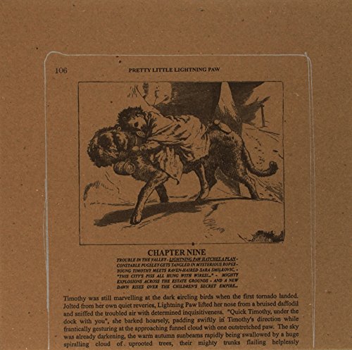 Pretty Little Lightning Paw [Vinyl LP] von CONSTELLATION