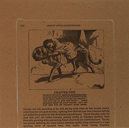 Pretty Little Lightning Paw [Vinyl LP] von VINYL