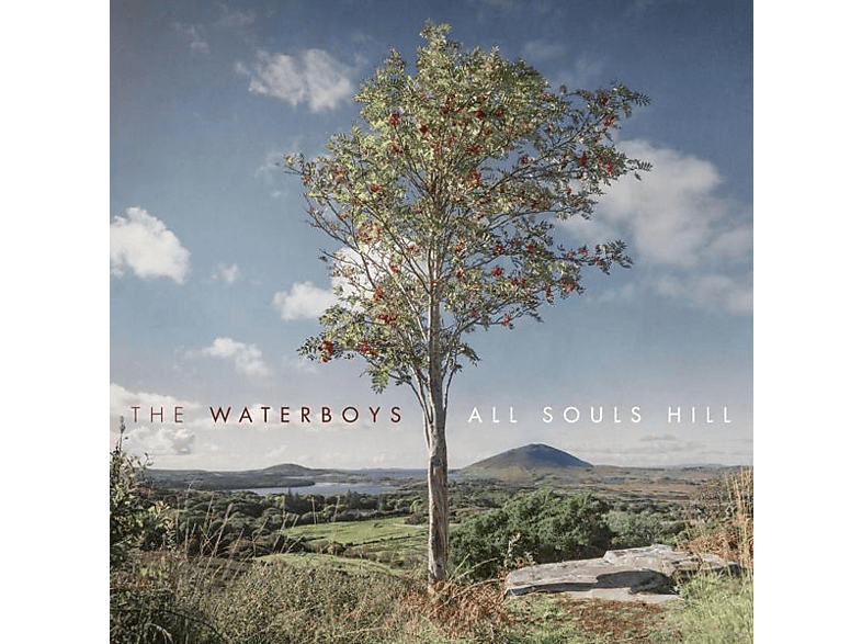 The Waterboys - All Souls Hill (Vinyl) von COOKING VI