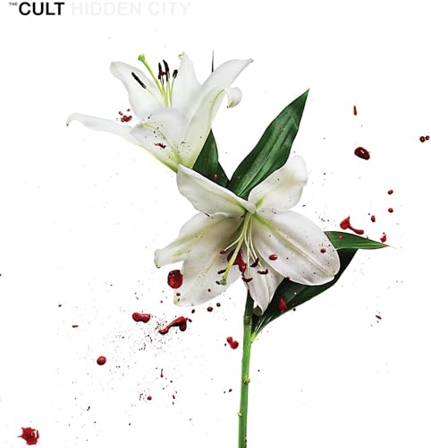 Hidden City [Vinyl LP] von COOKING VINYL
