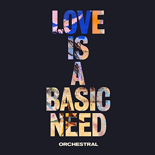 Love Is a Basic Need (Orchestral) [Vinyl LP] von COOKING VINYL