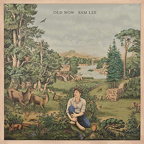 Old Wow [Vinyl LP] von COOKING VINYL