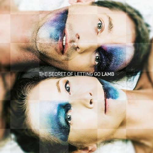 The Secret of Letting Go [Vinyl LP] von COOKING VINYL