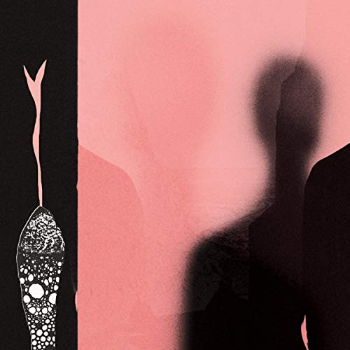 In the Pink of Condition (Lp+Mp3) [Vinyl LP] von COOP-HEAVENLY