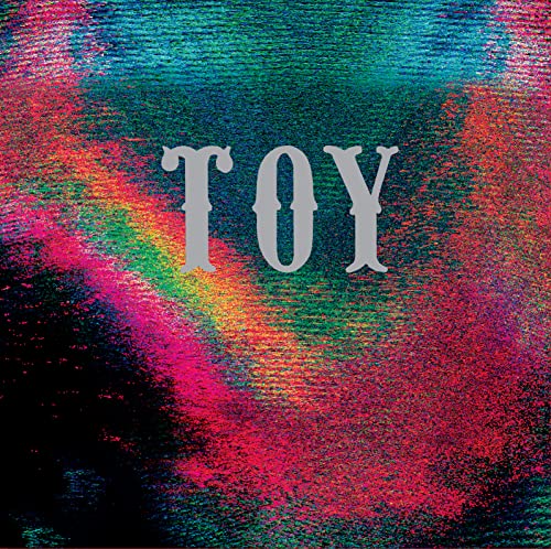 Toy (Vinyl Lp+CD) [Vinyl LP] von COOP-HEAVENLY